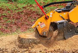 Best Lawn Renovation and Restoration  in White Oak, MD